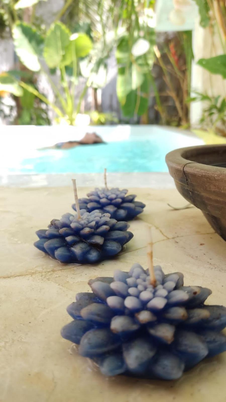 Chale Da Sereia Apart-Hotel Com Cozina Piscina Oasis No Centro De Jericoacoara المظهر الخارجي الصورة