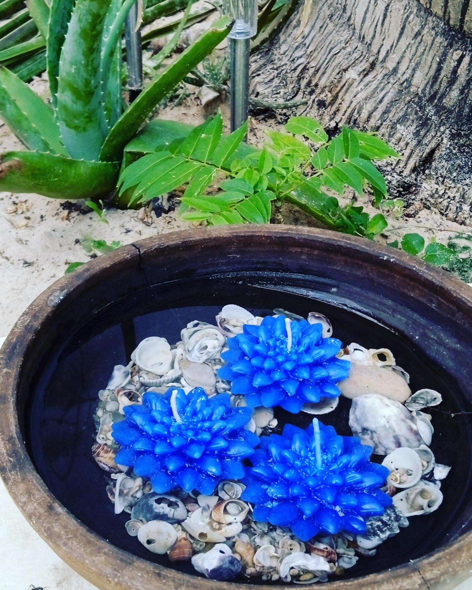 Chale Da Sereia Apart-Hotel Com Cozina Piscina Oasis No Centro De Jericoacoara المظهر الخارجي الصورة